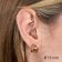 trendor 21752 Damen-Ohrringe Klapp-Creolen 333 Gold (8 Kt.) Bicolor ⌀ 15 mm 4