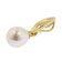 trendor 41155 Perlen-Anhänger Gold 333 / 8K mit vergoldeter Silber-Halskette Bild 2