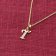trendor 41520-T Letter Pendant T 333/8K Gold with Gold-Plated Silver Chain Image 2