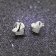 trendor 65014 Silver Earrings Image 2