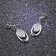 trendor 65144 Silver Drop Earrings with Cubic Zirconia Image 2