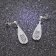 trendor 69920 Silver Women's Drop Earrings with Cubic Zirconia Image 2