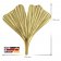 trendor 75079 Earrings Ginkgo Leaf 333 Gold 6