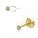 trendor 75096 Stud Earrings for Women and Men 585 Gold (14 ct) 2.5 mm Image 4