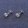 trendor 15130 Women's Stud Earrings Silver with Cubic Zirconia Image 2