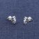 trendor 15943 Women's Stud Earrings Monstera Leaf 925 Sterling Silver Image 3
