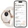 Withings HWA11-Model 1-All-Int Damenuhr ScanWatch Light 37 mm roségold/weiß Bild 2