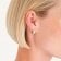 Rosefield JESWG-J930 Damen-Ohrringe Kleine Breite Creolen Goldfarben 3