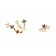 P D Paola AR01-402-U Women's Earrings Star Sign Aquarius Gold Plated Silver Image 1