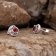 Acalee AC8888-16 Women's Earrings 925 Silver With Garnet Red Cubic Zirconia 3