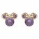 Disney EG00015FEBL.CS Children's Earrings Birthstone February 375 Gold Image 1