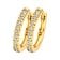 Blush 7307YZI Damen-Creolen 585 Gold Ohrringe mit Zirkonia Bild 1