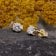 GLIZZ GL1072 Brillant-Ohrringe 0,50 ct Gold 333 Lab Grown Diamant Ohrstecker 3
