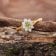 GLIZZ GL1278 Damenring 333 Gold mit Peridot und Lab-Grown Diamanten 2